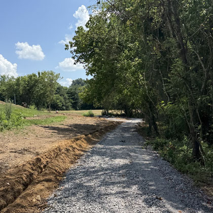 Tree Walk construction at AESSEAL Inc Rockford